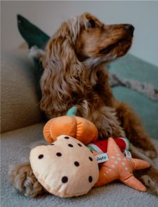 Peluche animaux sur-mesure Japhy, réalisation Beast'izz