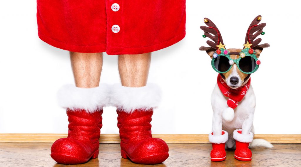 accessoire chien personnalisable Noel